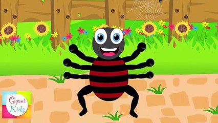 Incy Wincy Spider (Itsy Bitsy Spider) Nursery Rhyme | Kids Animation Rhymes Songs