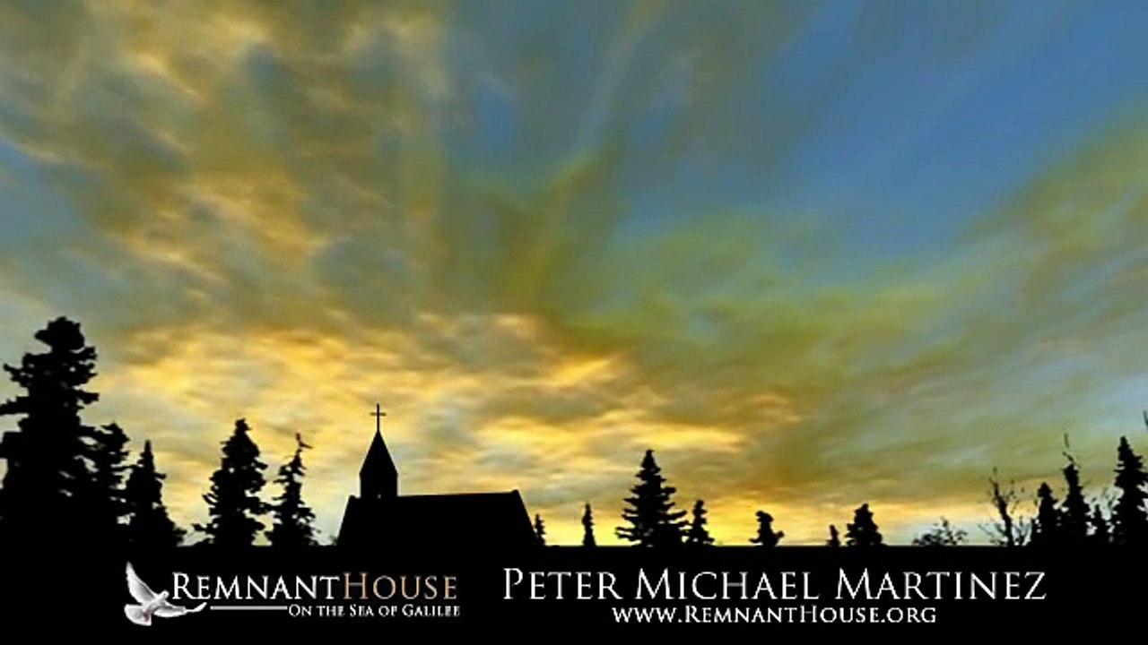 Signs Of The Son Of Man Peter Michael Martinez