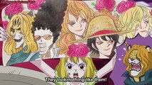Chopper and Carrot Saves Pedro Nami and Jinbe, Carrot Draw Straw Hats Faces, One Piece
