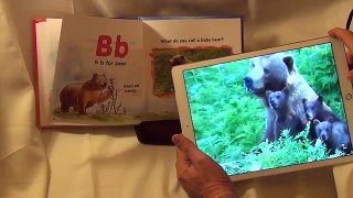 ABC Animals Alphabet in Motion a Book by Sarina Simon
