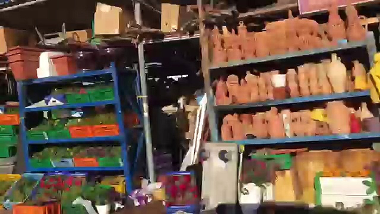 شرينا ارنب و لبسنا أصغر فستان !