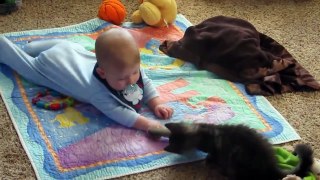 Baby Talking to Cat Baby and Cat Inter Compilation