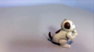 Toy Dog Flipping in Slow Motion