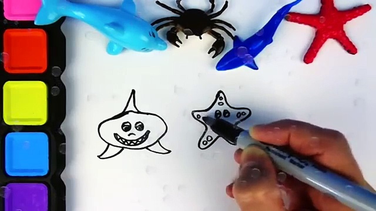 Learning Sea Animal Names Coloring Video for Kids Drawing Shark Dolphin Crab Star Sea Fish
