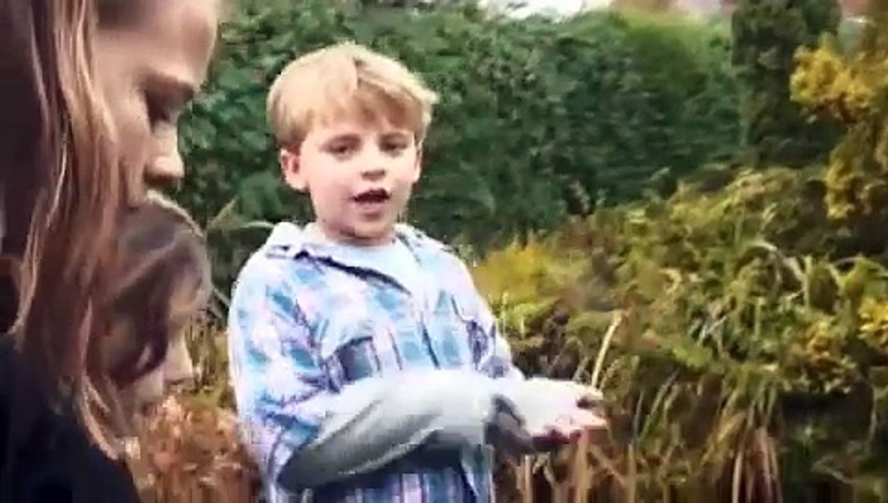 Creepy fairy insect UK