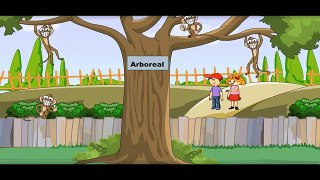 Animal Video Zoo,Forest Video for Kids,Kindergarten,Preschoolers,Grade 1,Class 1 students