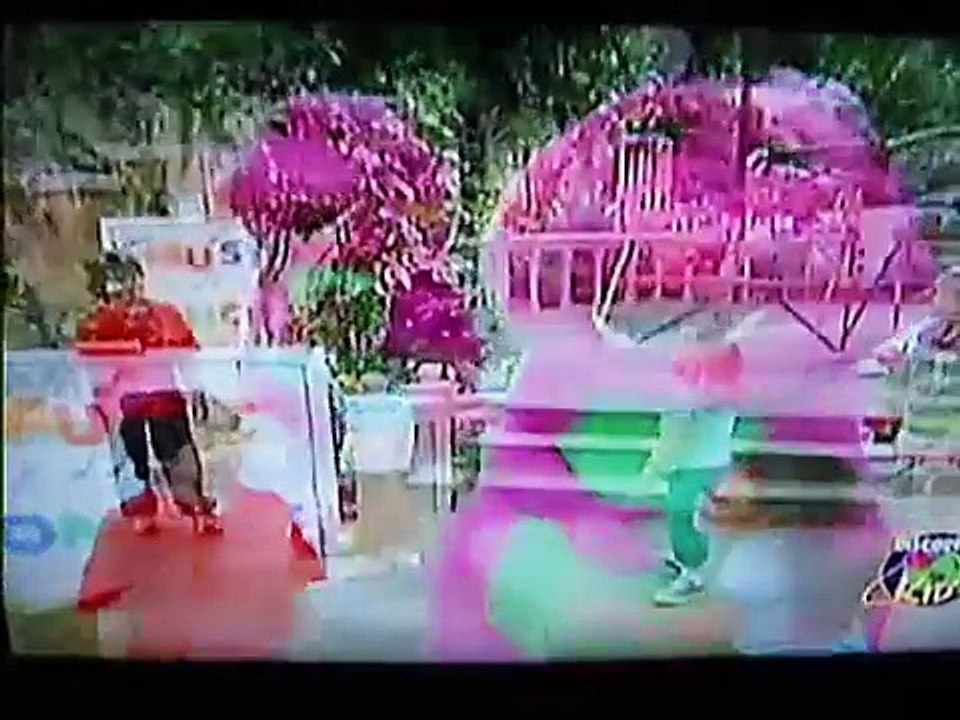 BARNEY Amo você ( I love you brazilian portugese)