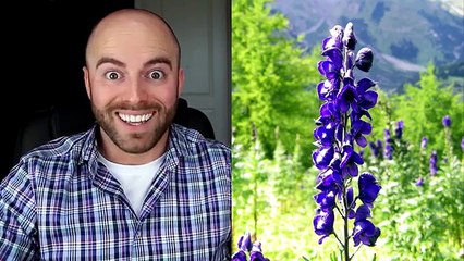 10 Most DEADLY PLANTS on Earth!