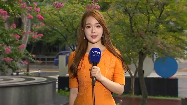[날씨] 태풍 '솔릭' 동해로 진출...내륙 태풍특보 모두 해제 / YTN