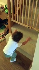 Baby gate on the stairs - toddler just crawls under it