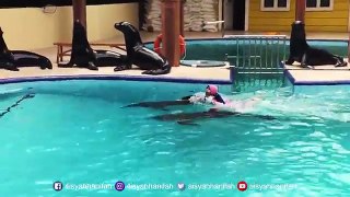 Water Fun | Swimming with Dolphins ❤ Bermain bersama Lumba lumba ❤ Seru Banget | Aisyah Ha