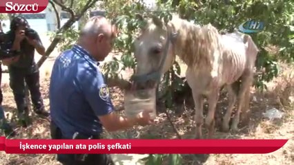 Atın gözü oyup işkence ettiler