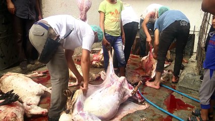 'Gazze'ye Hayat Ol' platformu Gazze'de kurban eti dağıttı -  GAZZE