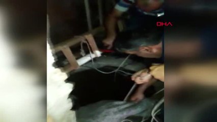 Manisa Kurbanlık Koçunu Kurtaran İtfaiyeye Baklavalı Teşekkür