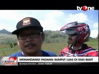 Pesona Padang Rumput di Kawah Wurung