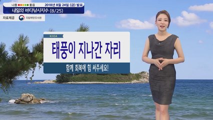 [내일의 바다낚시지수] 8월25일 태풍 솔릭 동해상으로 빠져나가 해황 차츰 회복세 보여 / YTN