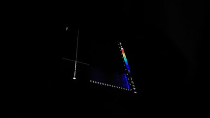 Balade à la rencontre des chauves-souris à Herbeumont