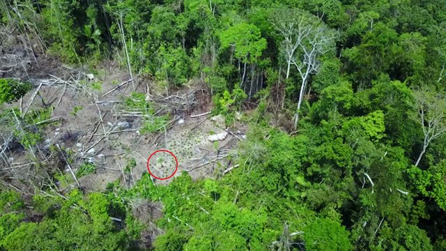 Un dron capta en vídeo por primera vez la vida de una tribu aislada en el Amazonas