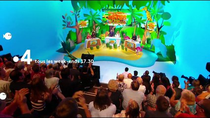 Drôlement bêtes les animaux en questions - bande annonce