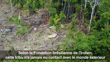 Brésil : une tribu isolée repérée en Amazonie