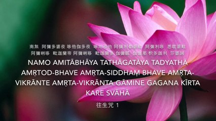 往生咒 Amitabha Pure Land Rebirth Dharani