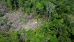Amazonie : des images filmées par un drone révèlent l'existence d'une tribu isolée