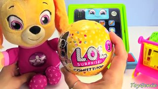 Paw Patrol Skye Goes Shopping Learn Grocery and Colors
