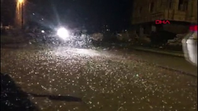 Kelebeklerin ölüm dansı