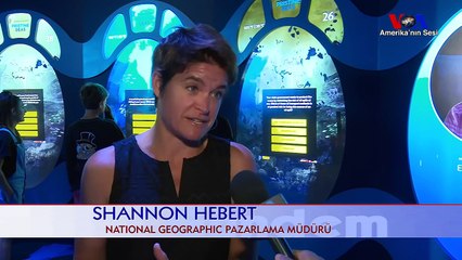 Times Meydanı'nda Okyanus Macerası