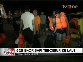 Kapal Motor Pengangkut 625 Sapi Terbakar