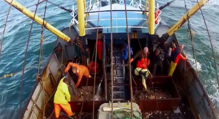 Wild UK S01 - Ep03 Seas HD Watch