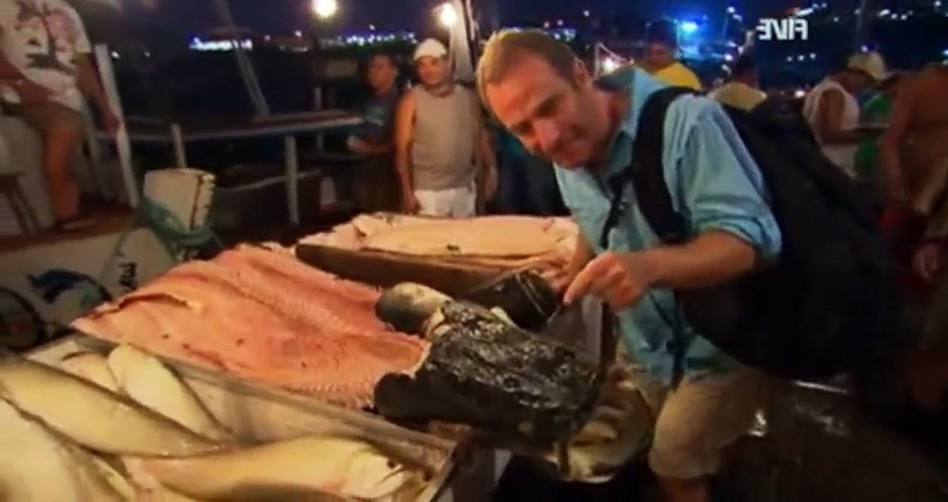 Extreme Fishing with Robson Green S04 Ep01 Brazil HD Watch Dailymotion Video
