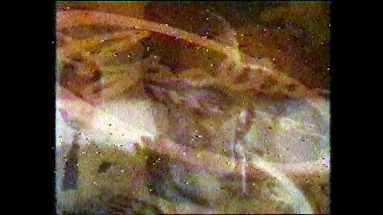 U2 - "Angel Of Harlem"