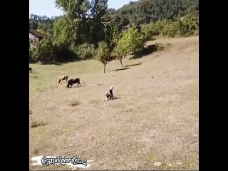 Drone Gören Masum Köylü