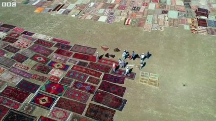 Antalya tarlalarında 'halı mevsimi'