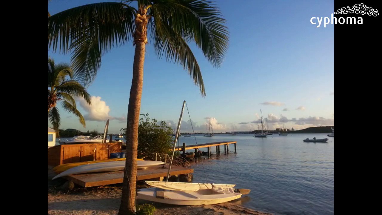 Baie Nettlé : T1bis meublé de 47m²Locations - Baie NettlePrix, Infos et contact en cliquant sur >> cypho.ma/baie-nettle-t1bis-meuble-de-47m-bxe