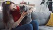 This Company Offers Paid Leave For New Pet Owners