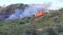 Lushnje, zjarr në Kasharaj (Pa koment) - Top Channel Albania - News - Lajme