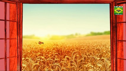 Chilli Chicken Recipe by Chef Zarnak Sidhwa 16 October 2017