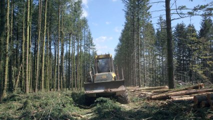 Le Temps des forêts (2018) - Trailer (French)