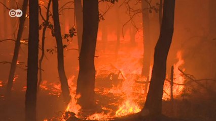 Berlin yakınlarında orman yangını