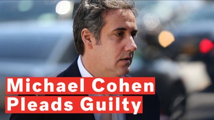 Former Trump Lawyer Michael Cohen Pleads Guilty In Deal With Prosecutors