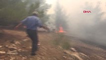 Şanlıurfa'da Göbeklitepe Çevresindeki Ormanlık Alanda Yangın