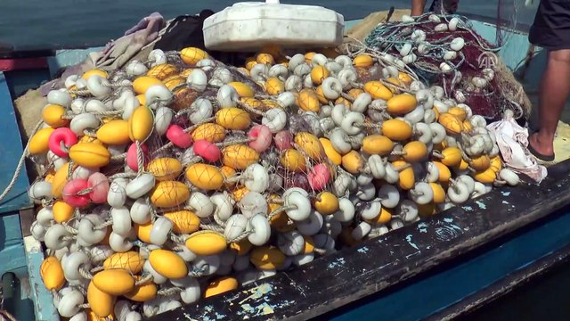 Kurban Bayramı balık fiyatlarını düşürdü - DÜZCE