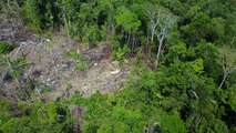 Images inédites d'une tribu d'Amazonie filmées par un drone
