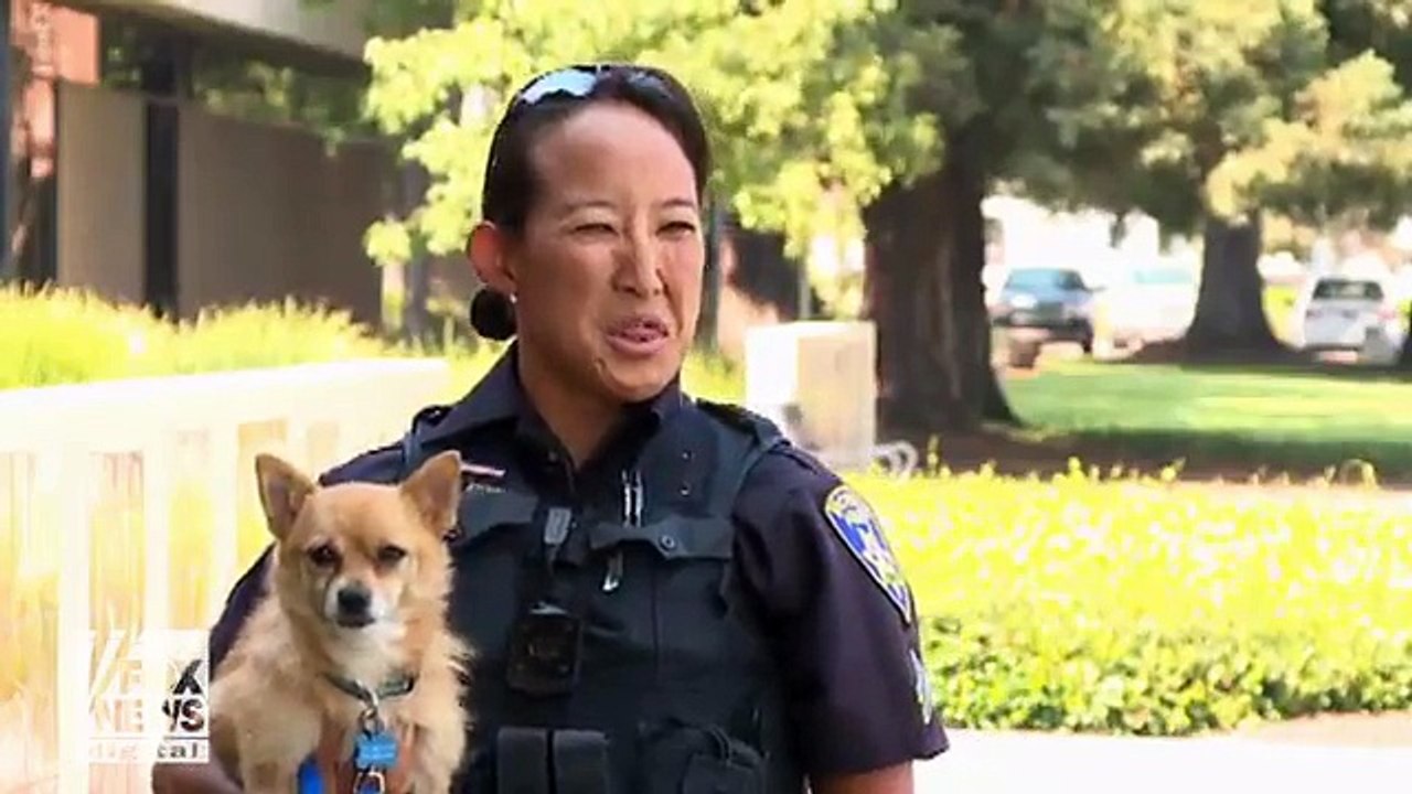 Vacaville officer adopts dog rescued from Nelson Fire