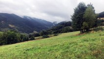 Affaire Jos Brech : le massif des Vosges , un terrain idéal pour se cacher