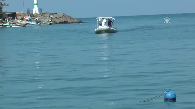 Kurban Bayramı Balık Fiyatlarını Düşürdü - Düzce