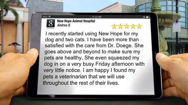 New Hope Animal Hospital Rogers Remarkable 5 Star Review by Andrea Ritchie