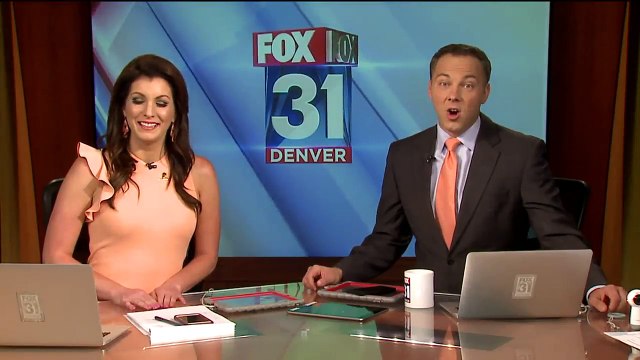 Bear Wanders Into Colorado Hotel